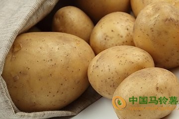 張家口：多種蔬菜價(jià)格回落 ()