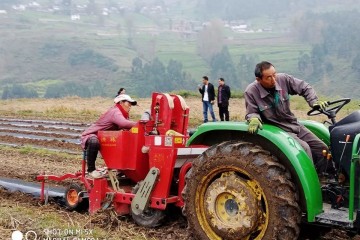 甘洛：開展機(jī)器播種冬季薯 ()