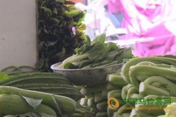 陽(yáng)江市：降雨致菜價(jià)上漲 ()