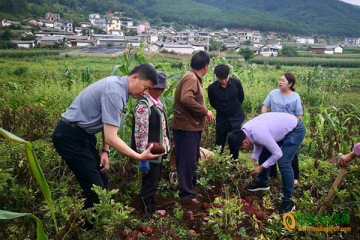 寧蒗：與上海楊浦商貿(mào)集團(tuán)達(dá)成了100噸馬鈴薯的訂購(gòu)協(xié)議 ()