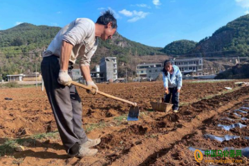 威寧：早熟馬鈴薯種植促農(nóng)增收 ()