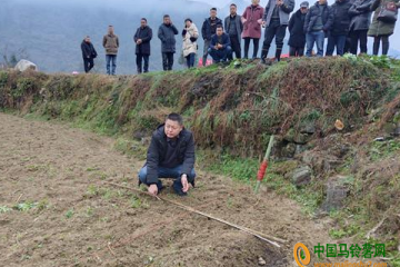 來(lái)鳳縣：舉行馬鈴薯集成高效模式種植暨冬農(nóng)開(kāi)發(fā)推進(jìn)會(huì) ()