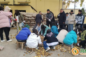 清鎮(zhèn)市：開展馬鈴薯播種工作 ()